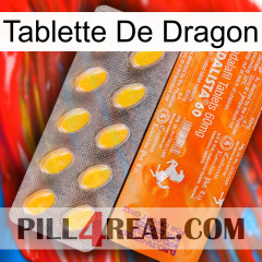 Dragon Tablet new05